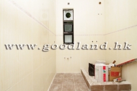 清水灣綠景村屋出租