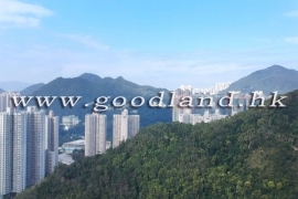 清水灣家庭別墅出售, 出售