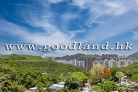 【清水灣清幽村屋出售】天台