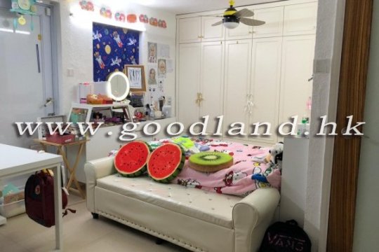清水灣綠景村屋出售