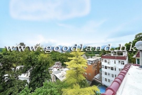 【清水灣獨立村屋出售】私人花園・山景城市景・私隱度高