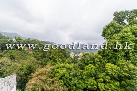 【西貢花園別墅出售】綠景・私隱度高