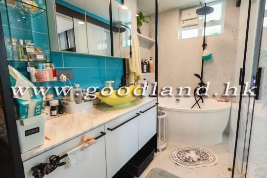 清水湾村屋出售
