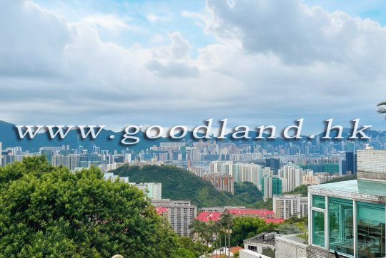 飞鹅山别墅出售｜传统豪宅地段・香港城市夜景・私人露台