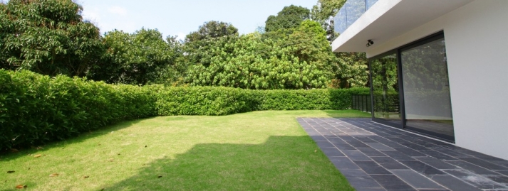 <a href="javascript:popUp('sai-kung-property-003033-E.php','1070','630')">CLEAR WATER BAY VILLAGE HOUSE HKD 32M </a>